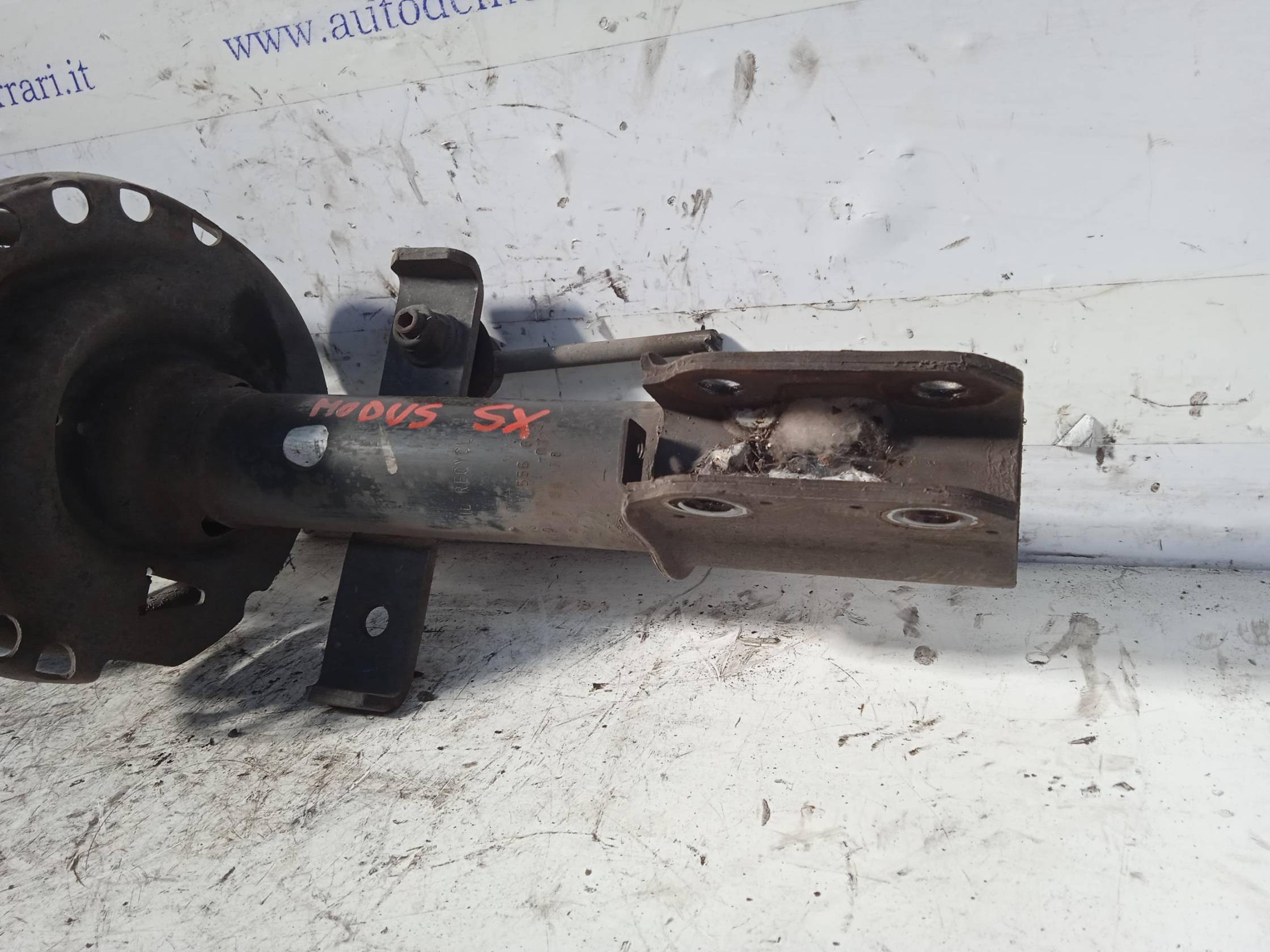 Ammortizzatore ant. sx.